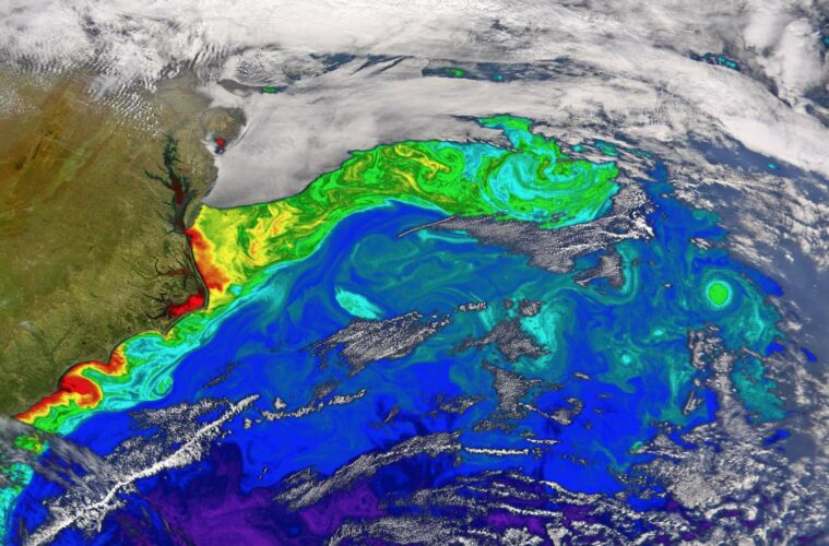 Atlantic Ocean circulation