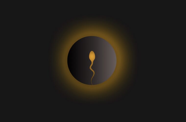 fertility tracker