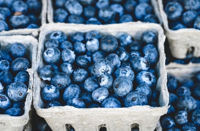 A new study links the consumption of blueberries with lower risks of dementia as well as prediabetes
