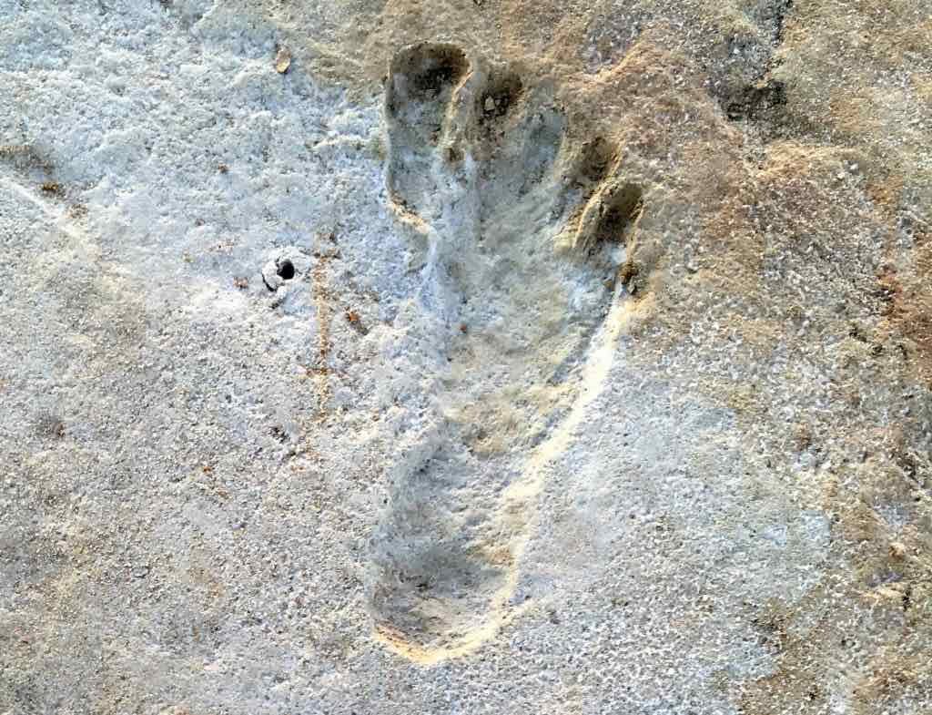human footprint