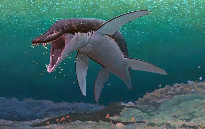 Ancient sea monster