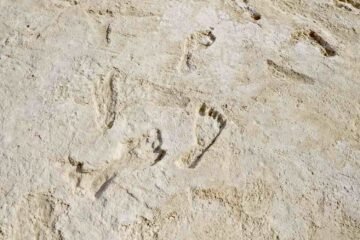 fossil human footprints