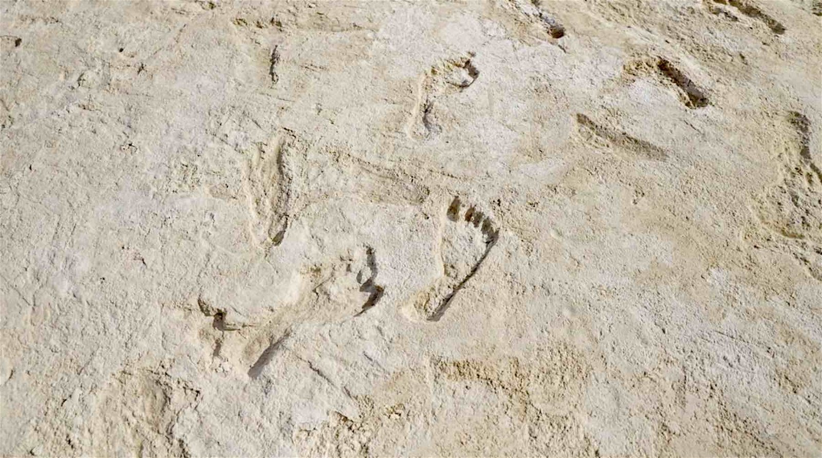 fossil human footprints