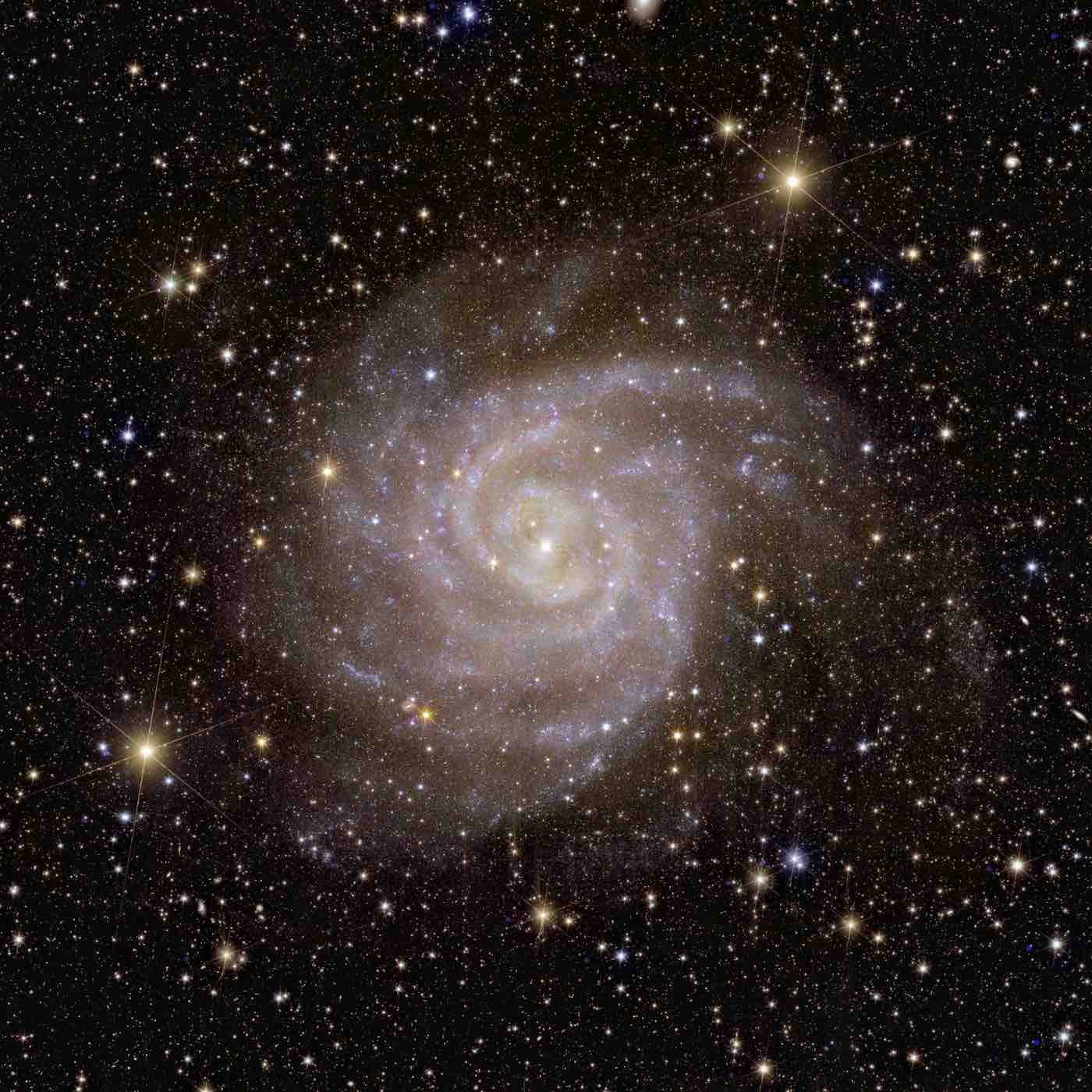 Vista de Euclides da galáxia espiral IC 342