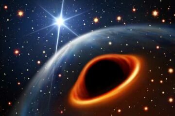 mass gap black holes neutron stars