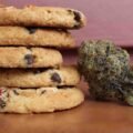 cannabis the munchies