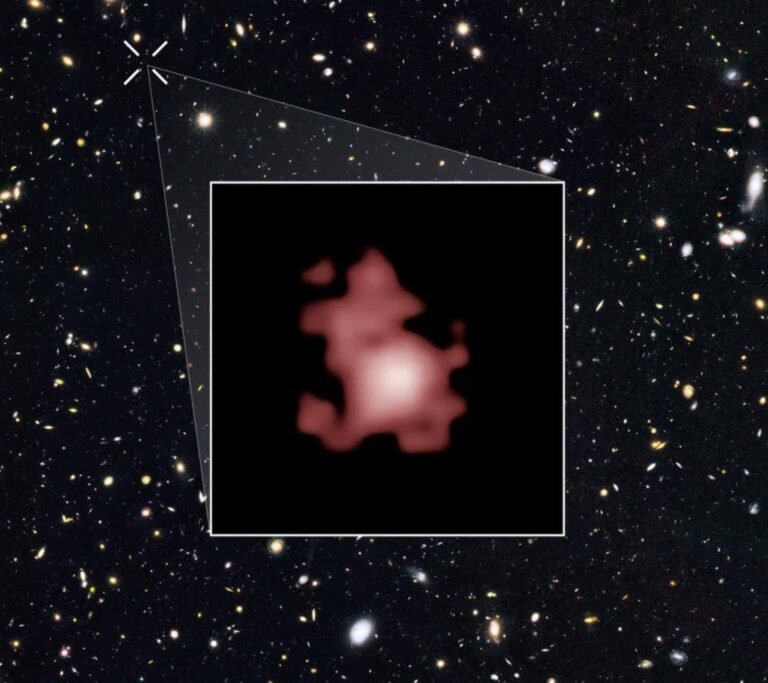 Imagens do Hubble mostrando a GN-z11, uma das galáxias mais distantes já observadas (NASA/ESA/Hubble).