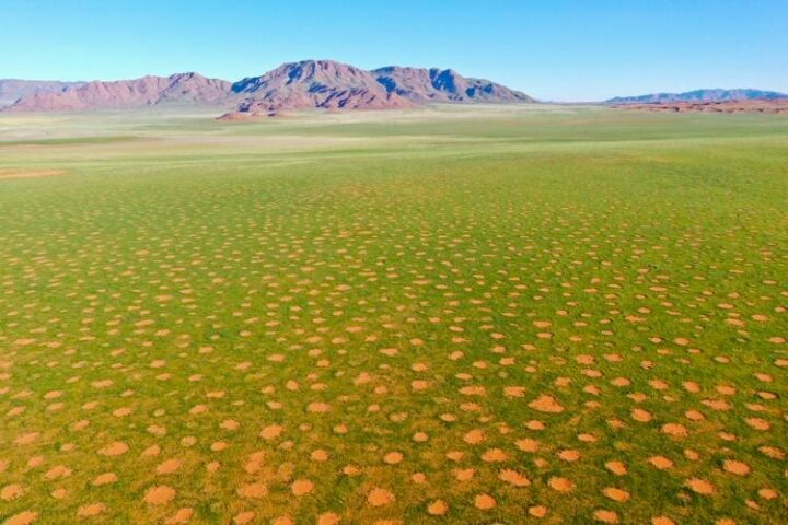 African 'Fairy Circles' That Once Baffled Scientists Point to ...