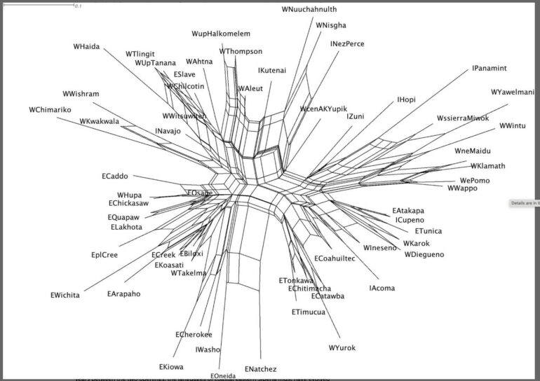 Analysis of North American Indigenous Languages Points to New Model for ...