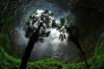 karst underground forest