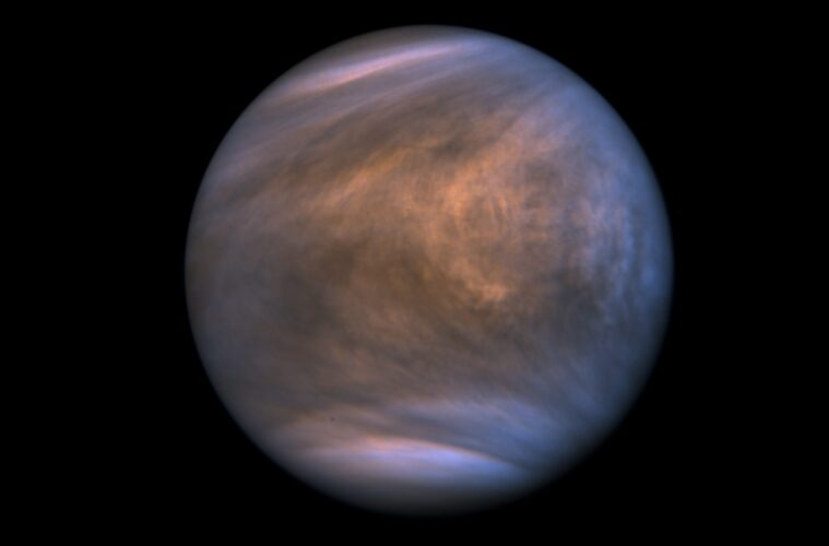 Venus