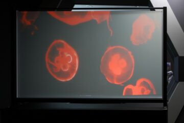 Nano Transparent Screen