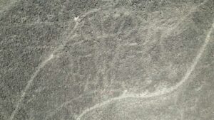 Nazca lines