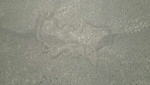 Nazca lines