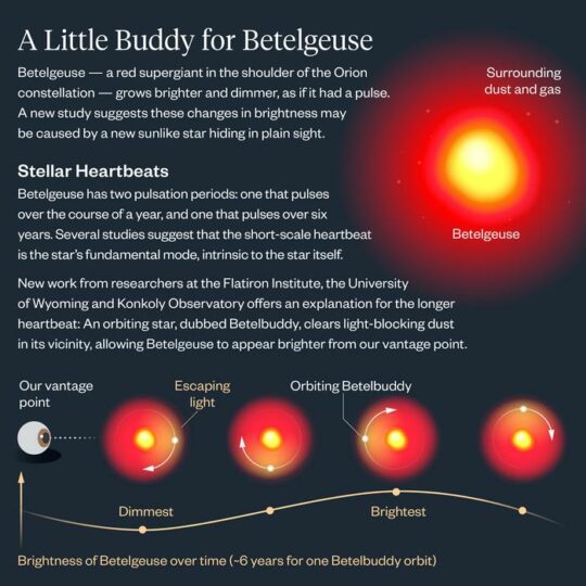 Beetlejuice, Betelgeuse, Betelbuddy? Astronomers Find Something