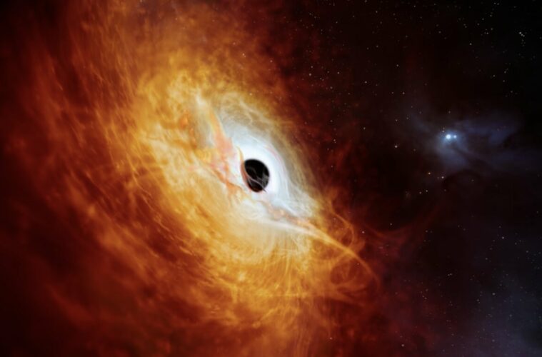 black holes