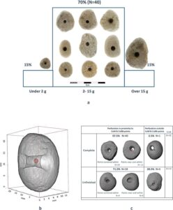 12,000-year-old stones