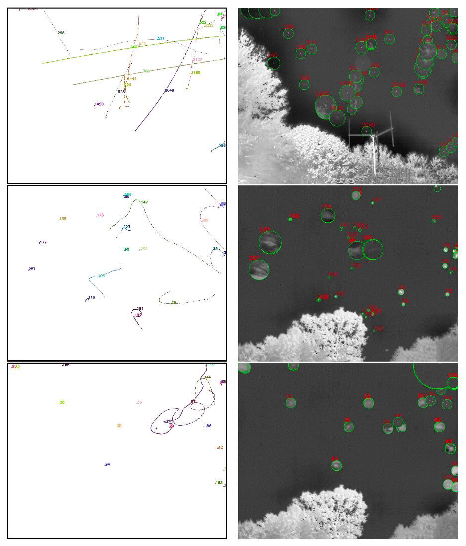 UAP Galileo Project