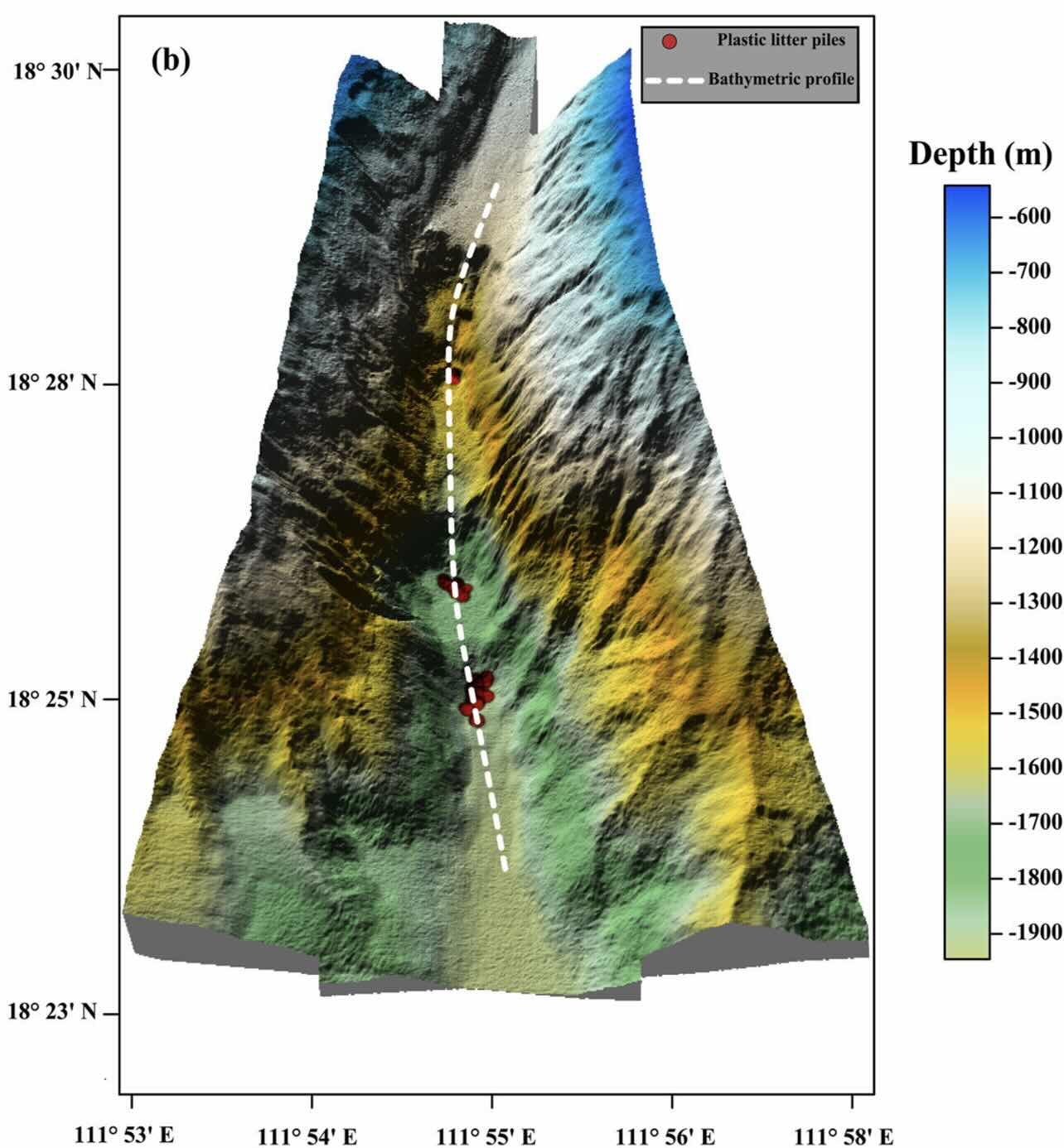 deep submarine canyons