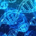 DNA recombination map