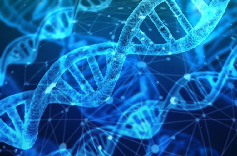 DNA recombination map