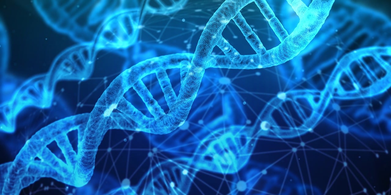 DNA recombination map