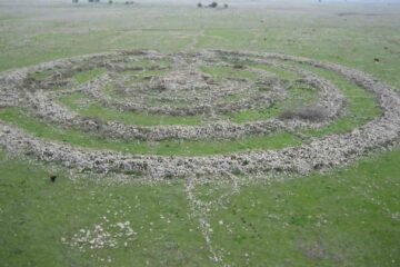 Wheel of Ghosts