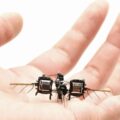 robot insect