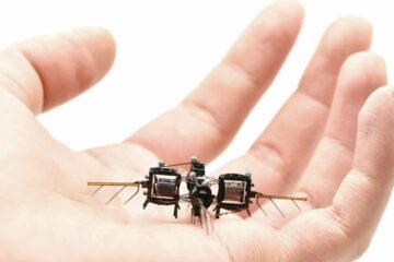 robot insect