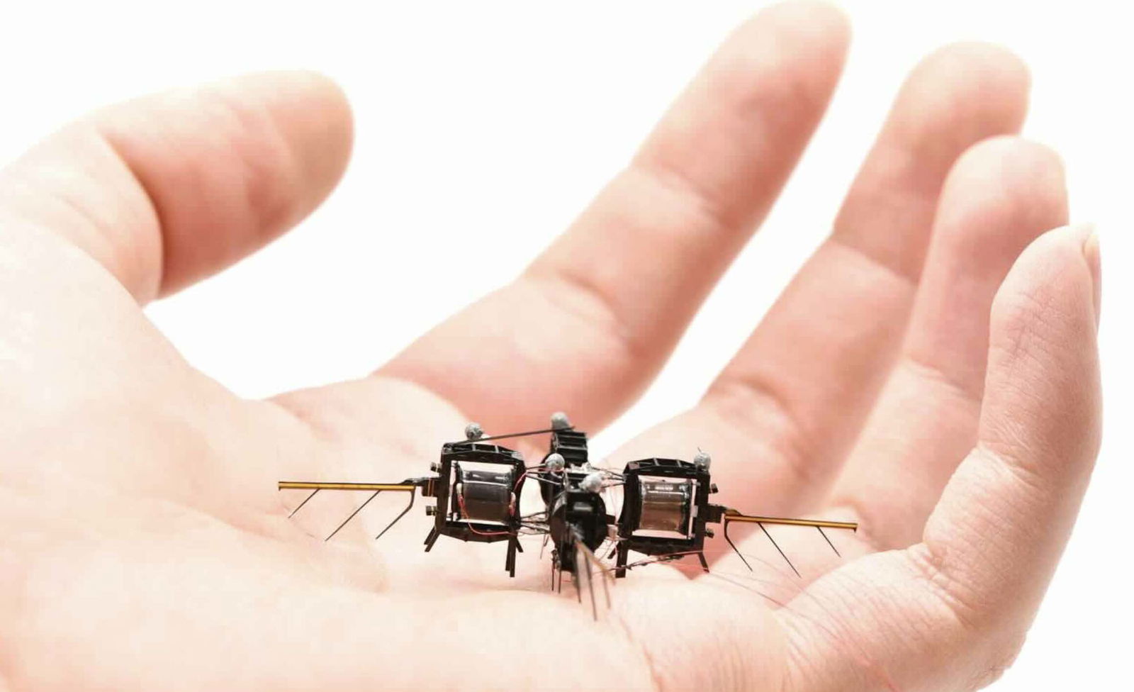 robot insect